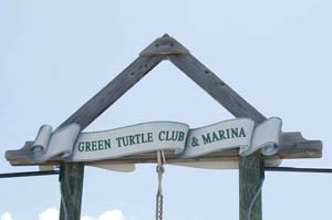green turtle